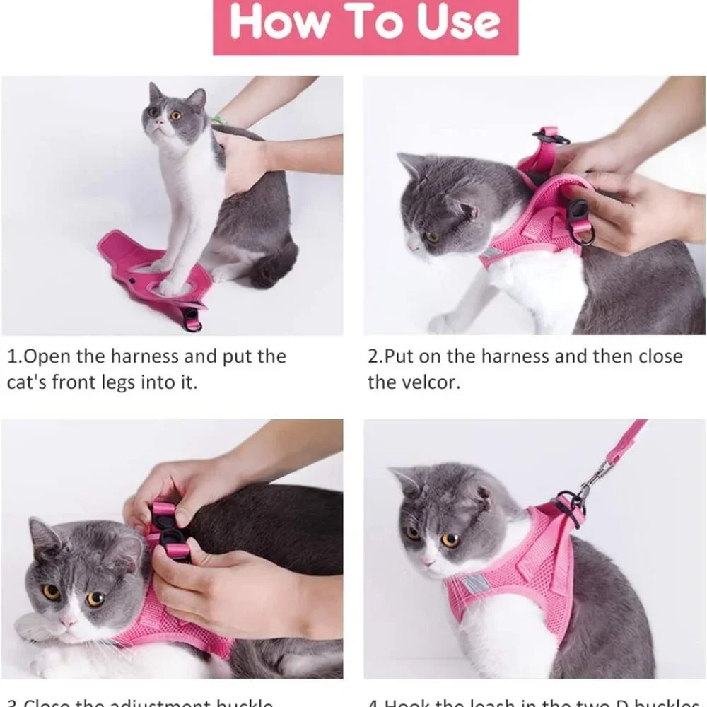 Kitten harnesses and leash set